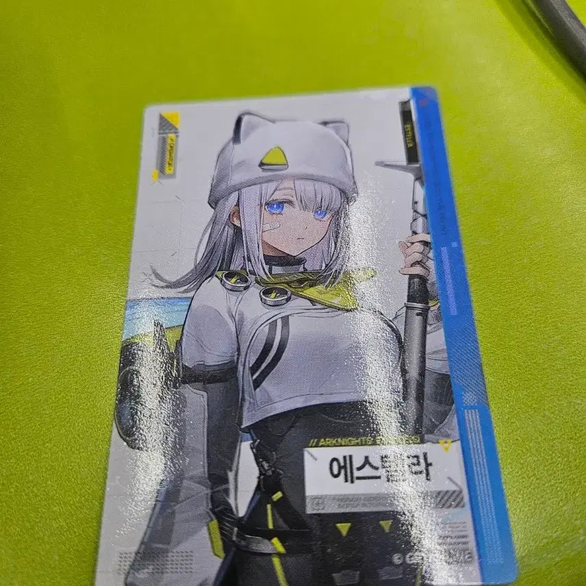 [SOLD OUT] 엔드필드 에스텔라 포토카드