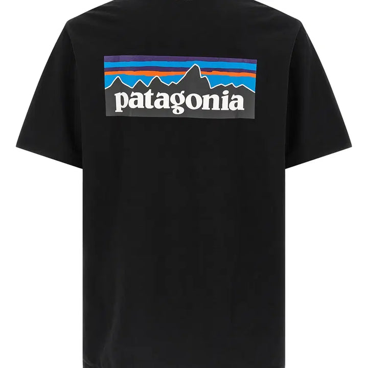 [BUNJANG] Patagonia T-shirt Bundle Set / (새상품) 파타고니아 반팔티셔츠 3종 + 볼캡