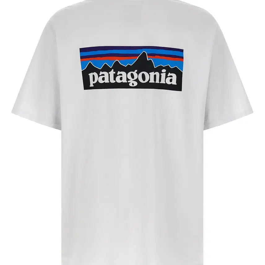 [BUNJANG] Patagonia T-shirt Bundle Set / (새상품) 파타고니아 반팔티셔츠 3종 + 볼캡