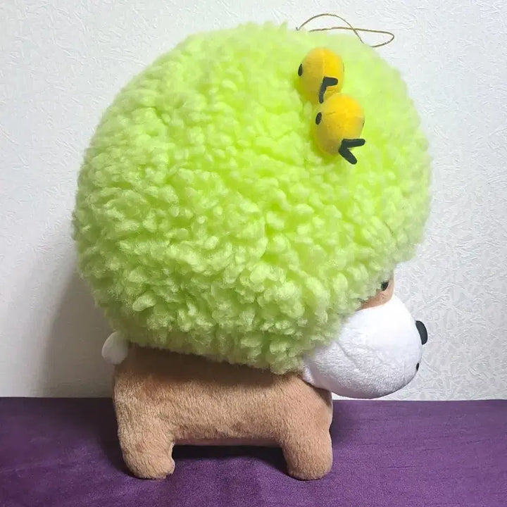 [BUNJANG] San-X Afroken Wood Large Plush / [대형] 산엑스 아프로켄 나무 대형 인형