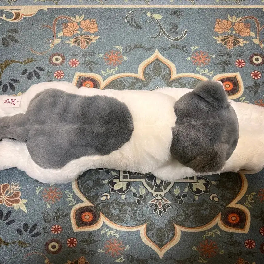 [BUNJANG] 리얼 모방 고양이 봉제인형 회색 새상품 / 리얼 모방 고양이 봉제인형 회색 새상품