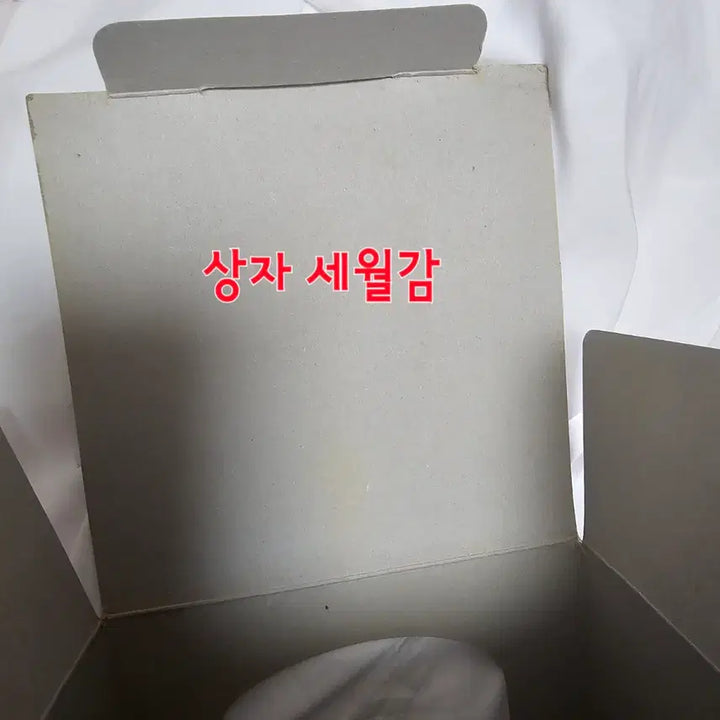[BUNJANG] Evangelion Aphrodite Ver.2 Ayanami Rei Figure / 무료배송)에반게리온 아프로디테 ver.2 아야나미 레이 피규어