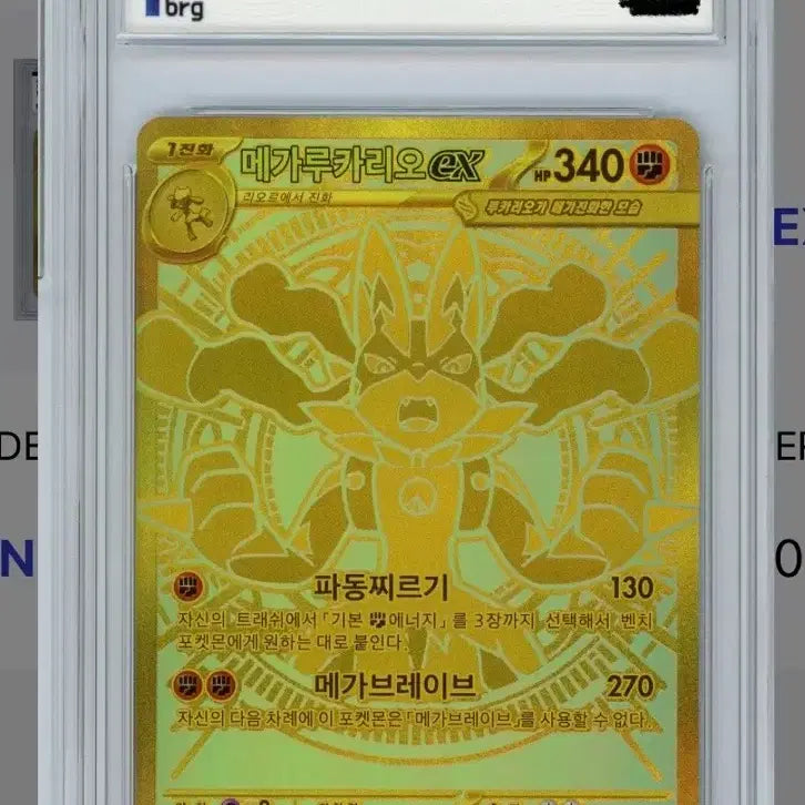 [SOLD OUT] 메가루카리오mur brg9