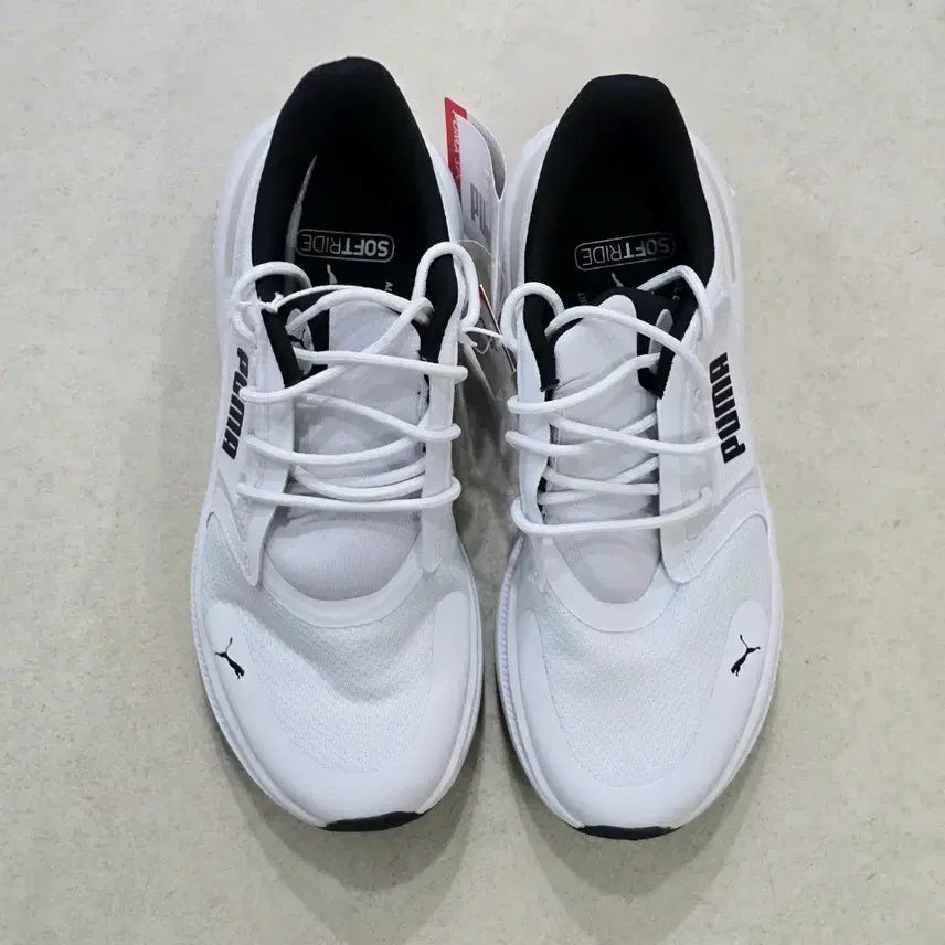 [BUNJANG] Puma Softride Exo Shift Lace Running Shoes 260mm / [새상품]푸마 소프트라이드 엑소 시프트 운동화 260 러닝화