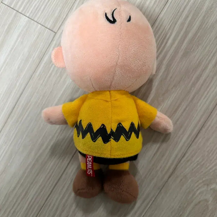 [BUNJANG] Snoopy Charlie Brown Plush Doll / 스누피 찰리브라운 인형