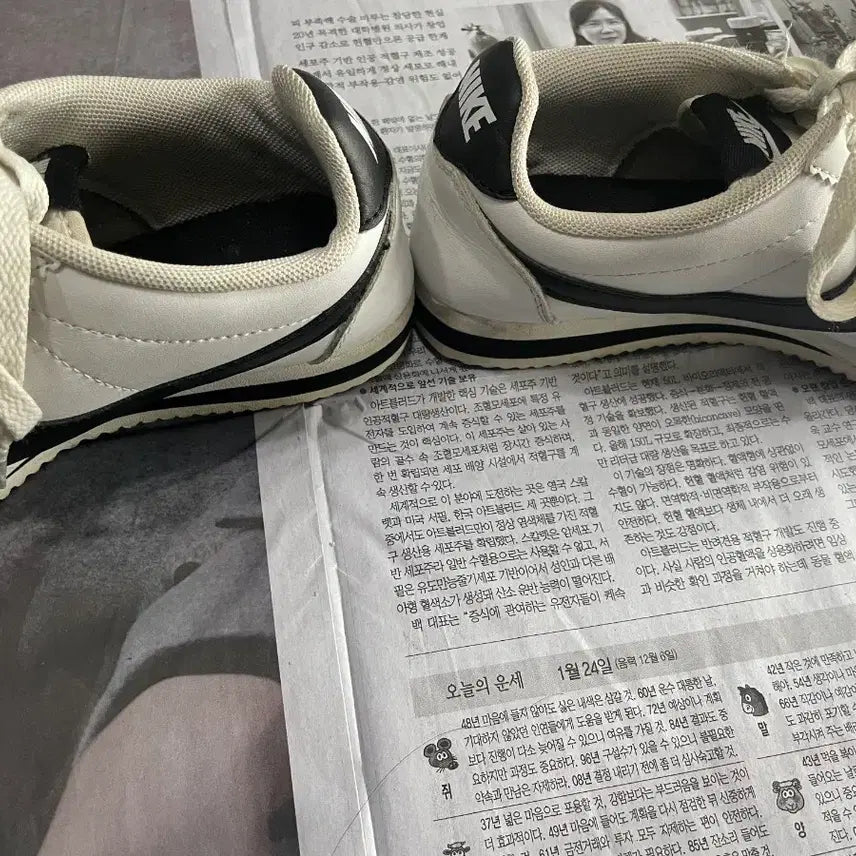 [BUNJANG] Nike Cortez White Sneakers / 나이키 코르테즈