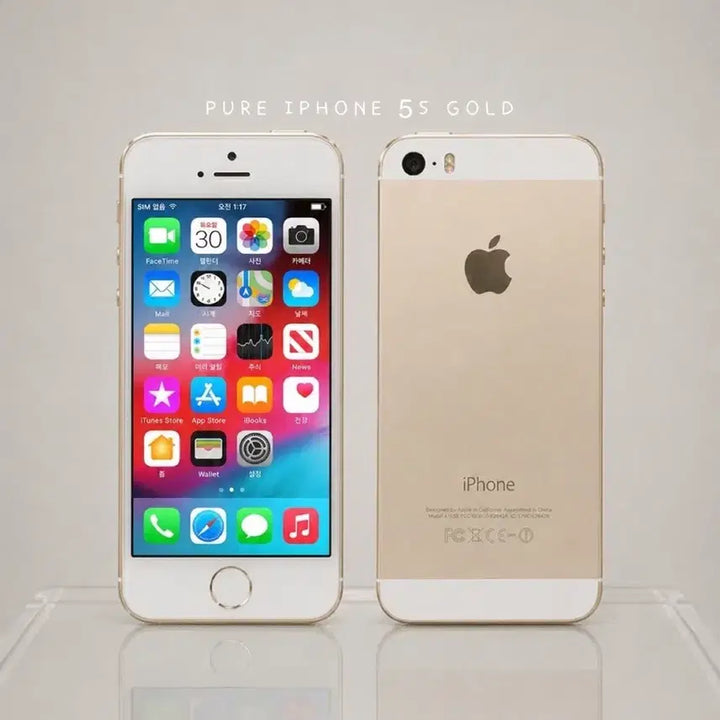 [BUNJANG] Apple iPhone 5s 16GB Gold (B-Grade) / [한정특가] 아이폰5s 16GB 골드