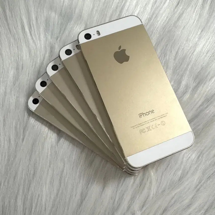 [BUNJANG] Apple iPhone 5s 16GB Gold (B-Grade) / [한정특가] 아이폰5s 16GB 골드