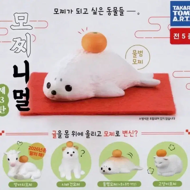 [BUNJANG] Mochinimal Orange Animal Gacha Figure - Dog / 모찌니멀 귤 동물 피규어 가챠 강아지