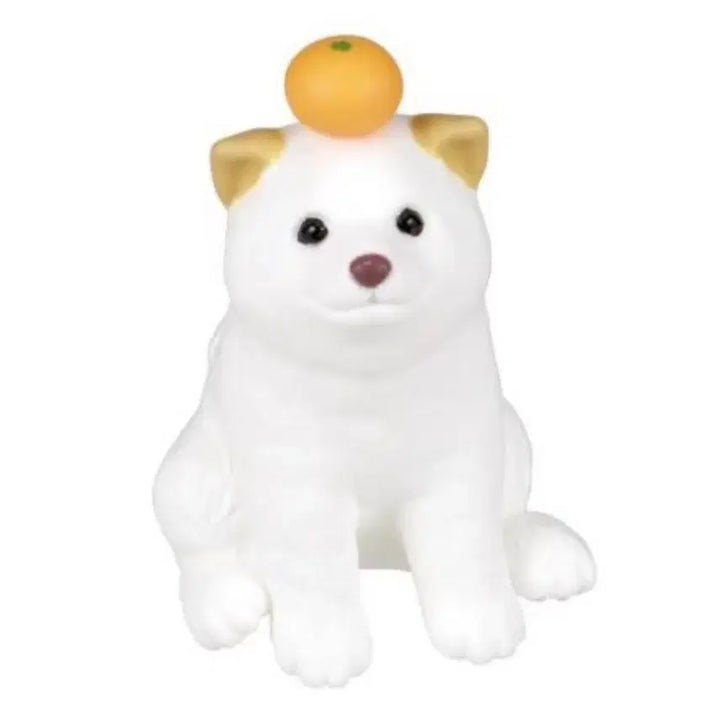 [BUNJANG] Mochinimal Orange Animal Gacha Figure - Dog / 모찌니멀 귤 동물 피규어 가챠 강아지