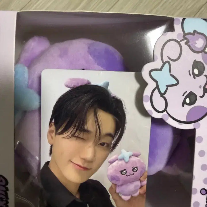 [SOLD OUT] 마이티즈 사니요 에이티즈