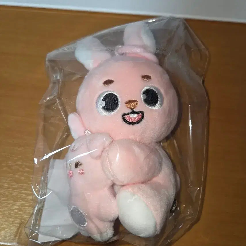 [BUNJANG] Day6 My Day Wonpil Magnet Doll / 데이식스 마그넷 원필인형
