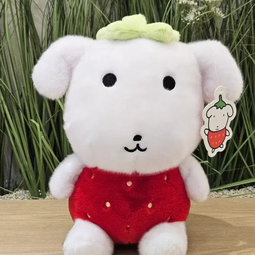 [BUNJANG] Ganadi Strawberry Medium Plush Doll / (새상품) 가나디 나 딸기.. 딸기 중형 인형