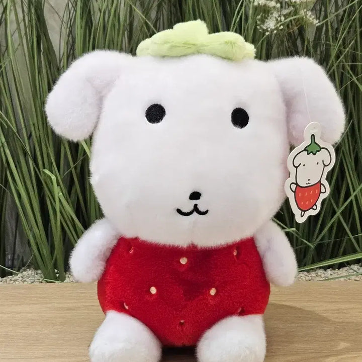 [BUNJANG] Ganadi Strawberry Medium Plush Doll / (새상품) 가나디 나 딸기.. 딸기 중형 인형
