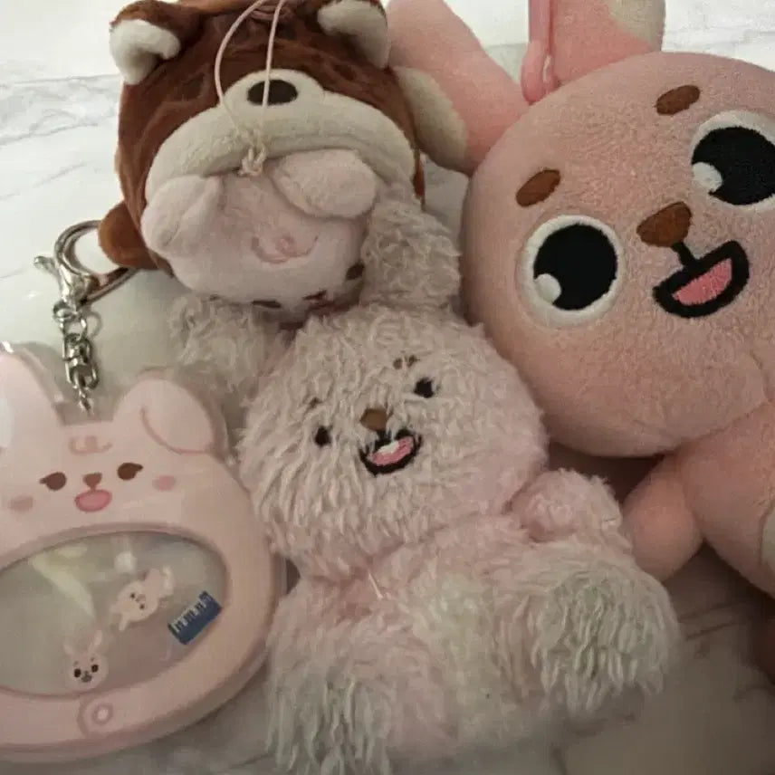 [BUNJANG] DAY6 Wonpil Doll Set / 필끼 모음집