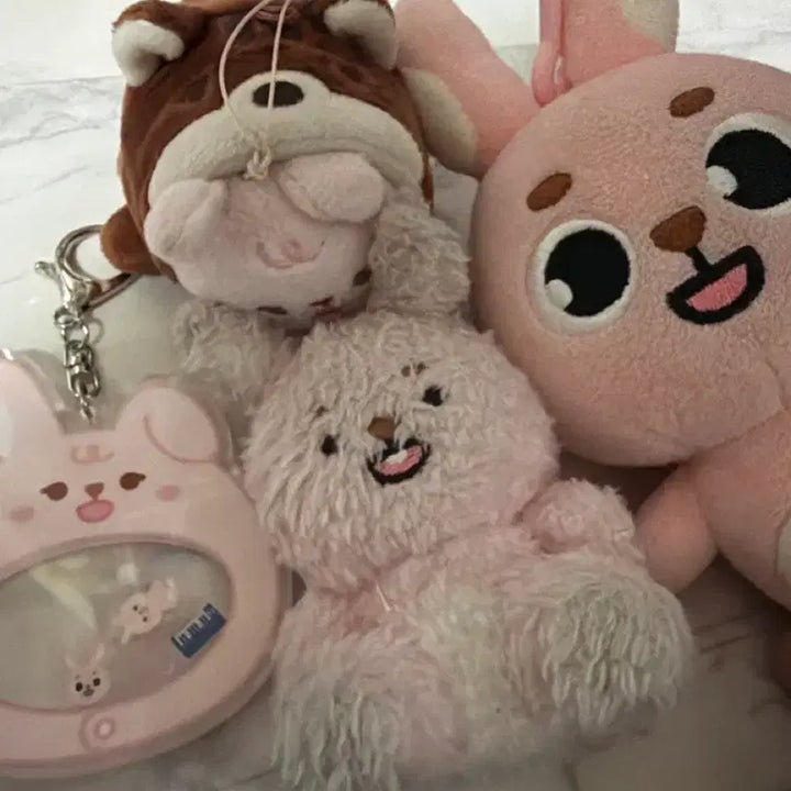 [BUNJANG] DAY6 Wonpil Doll Set / 필끼 모음집