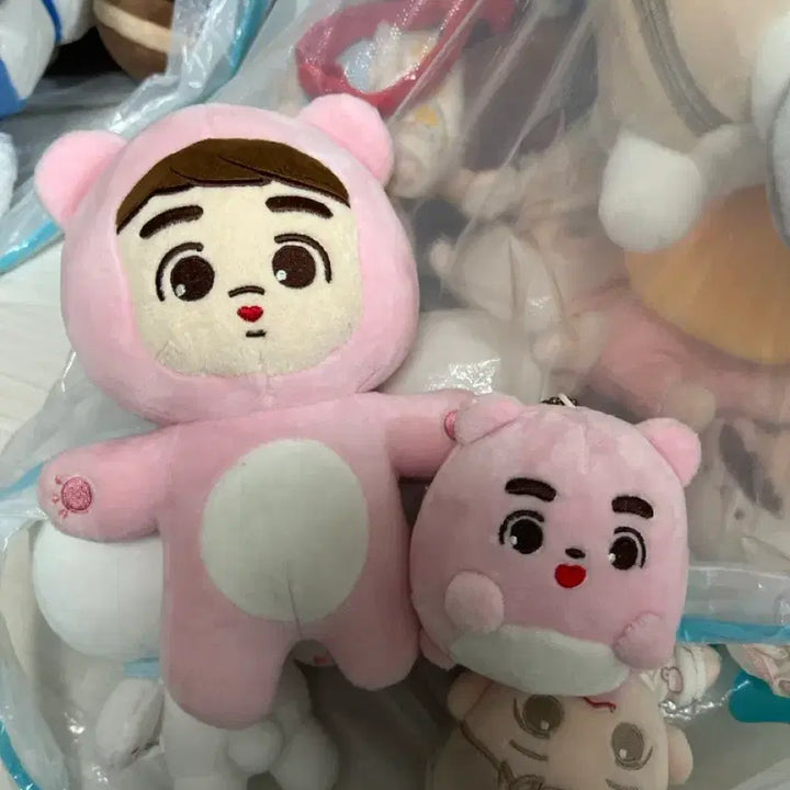 [BUNJANG] Gomdori Set / 곰됴리 세트