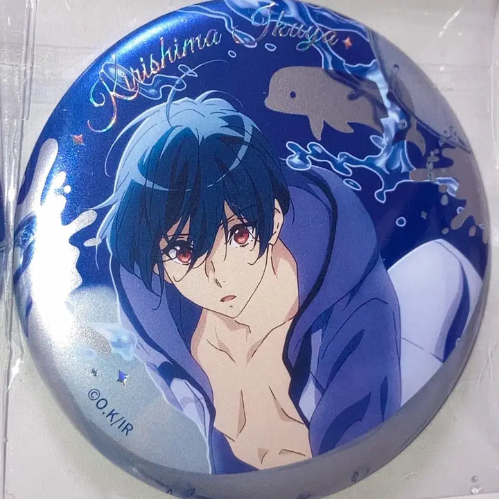 [BUNJANG] Free! Ikuya Magnet / 프리 이쿠야