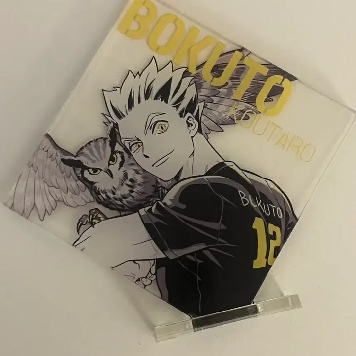 [BUNJANG] Bokuto Acrylic Standee / 보쿠토 아크릴 비공굿