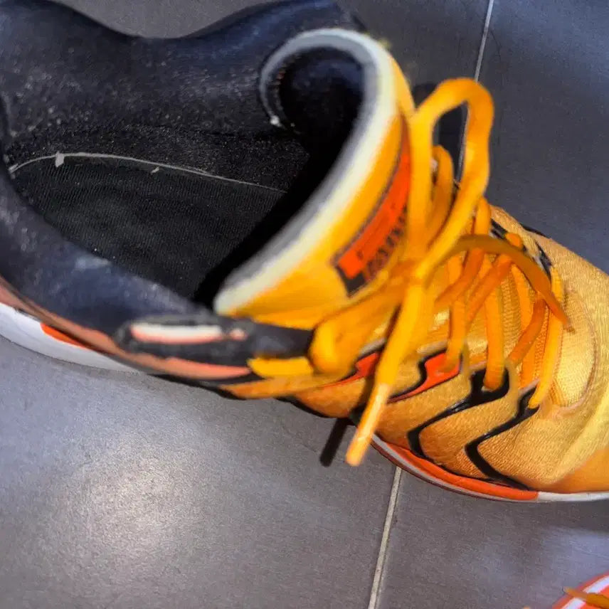 [BUNJANG] KD 17 Basketball Shoes / kd 17