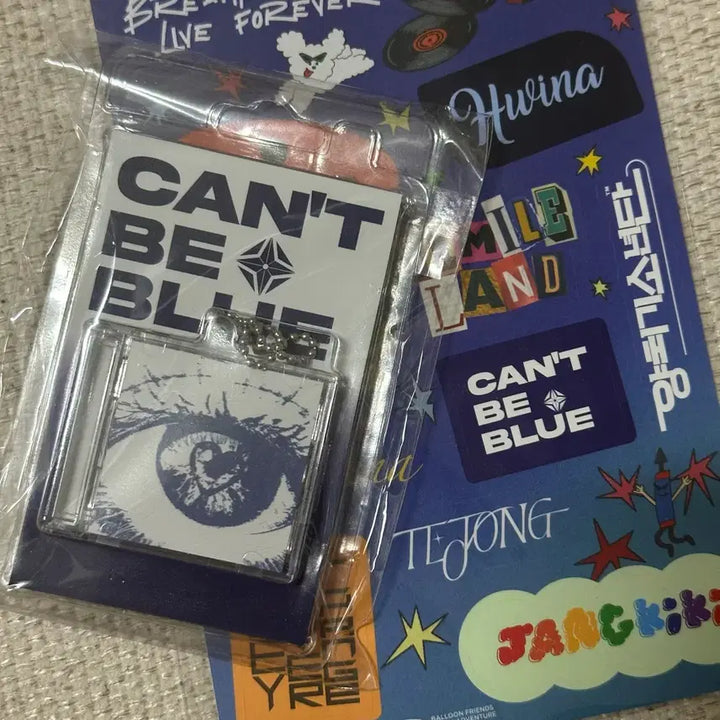 [BUNJANG] CantBeBlue Muse On NFC Keyring / 캔트비블루 뮤즈온 nfc 키링