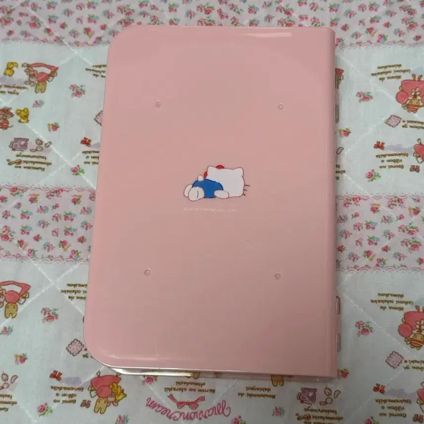 [BUNJANG] Sanrio Hello Kitty Stand S Size Storage Case / 산리오 스탠드 S사이즈 칸막이 수납 케이스