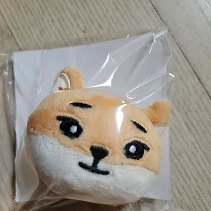 [SOLD OUT] 데이식스 일본굿즈 헤어핀 케