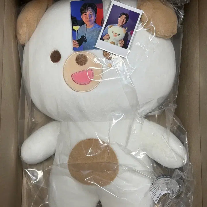 [SOLD OUT] [포카포함] 데이식스 자쁘멀 돈 양도