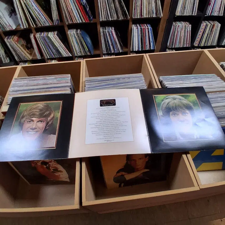 [SOLD OUT] 자켓 디자인도 예뻐서 카펜터스 Now &amp; Then LP