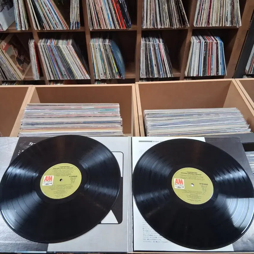 [SOLD OUT] 빈티지 소장가치 카펜터스 골든 더블 디럭스 LP