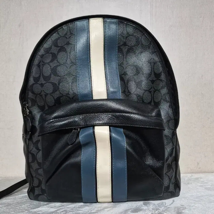 [BUNJANG] Coach Signature Backpack Black Stripe / 코치 시그니처 백팩 블랙 스트라이프