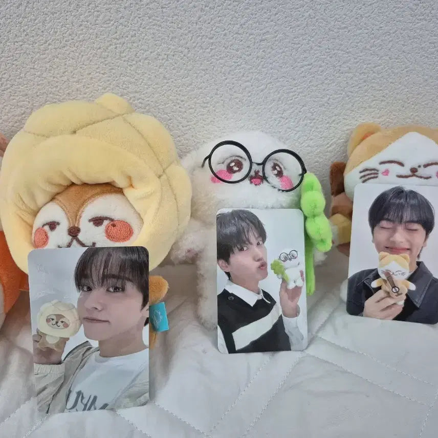 [SOLD OUT] 온앤오프 온꼬미즈 전원 일괄 판매