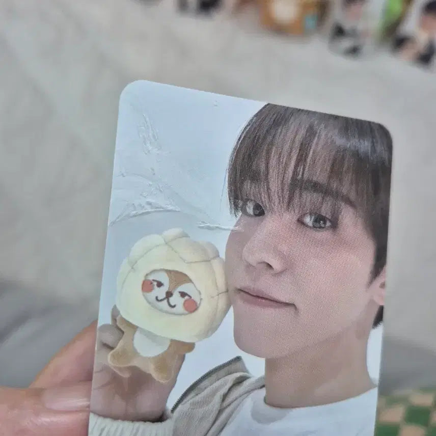 [SOLD OUT] 온앤오프 온꼬미즈 전원 일괄 판매