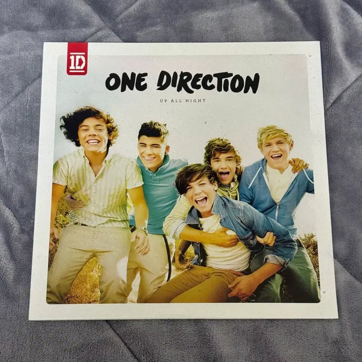 [SOLD OUT] [BUNJANG] One Direction Up All Night Vinyl LP / 원디렉션 One Direction Up All Night lp