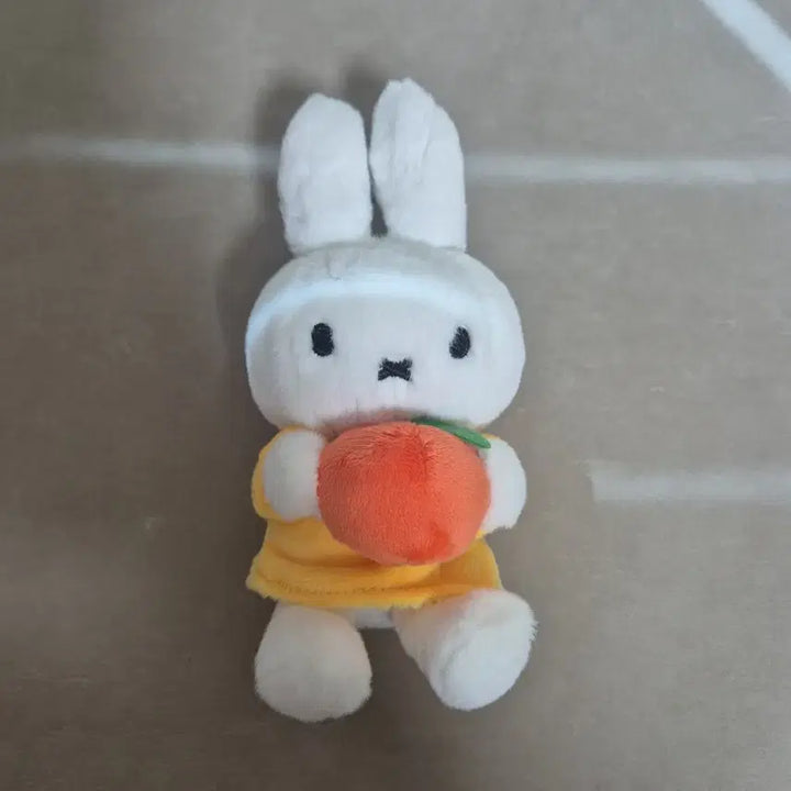 [SOLD OUT] 미피 vipo 키링