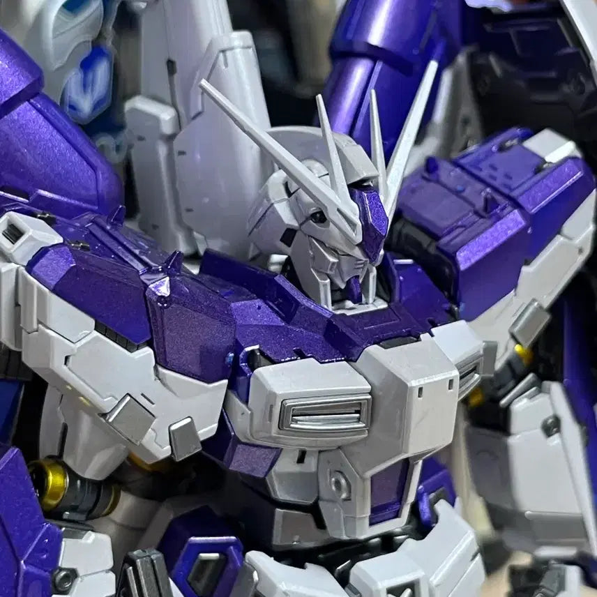 [BUNJANG] Rg Hi-Nu EGS Coating (Purple) Assembled Model / Rg하이뉴 사제코팅 (보라색코팅) 가조립