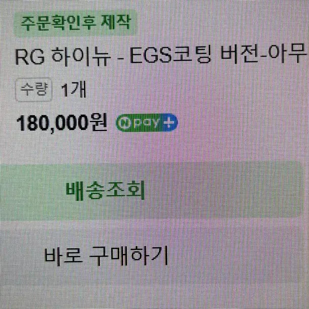 [BUNJANG] Rg Hi-Nu EGS Coating (Purple) Assembled Model / Rg하이뉴 사제코팅 (보라색코팅) 가조립