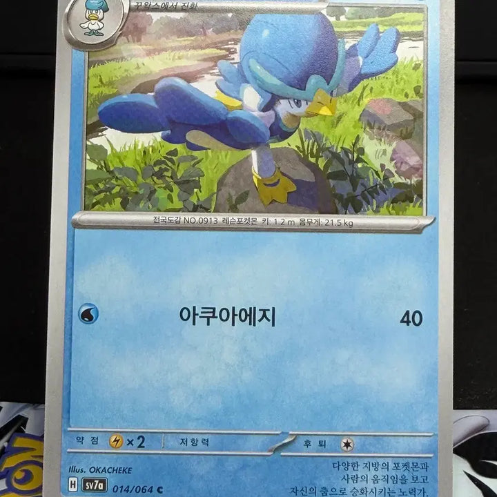 [BUNJANG] 아꾸왁 일반 카드 [200원] S급 / 아꾸왁 일반 카드 [200원] S급