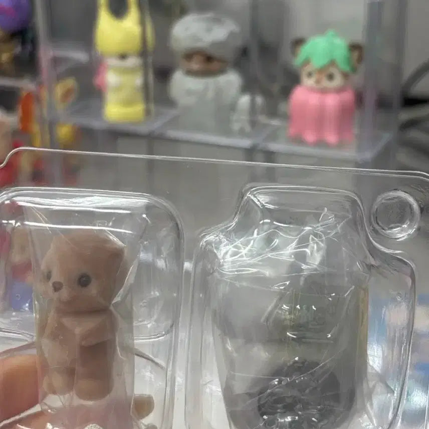 [SOLD OUT] 돌바니안