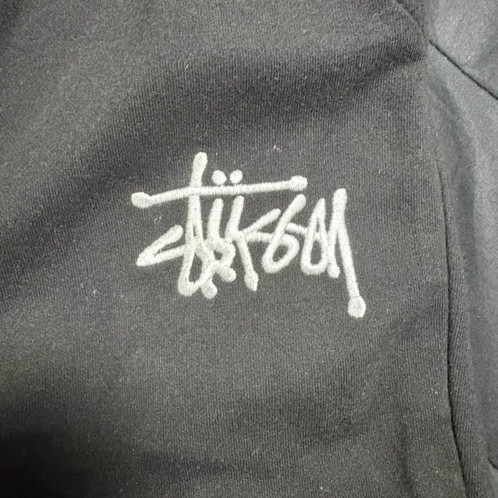[BUNJANG] Stussy Shorts / 스투시 반바지