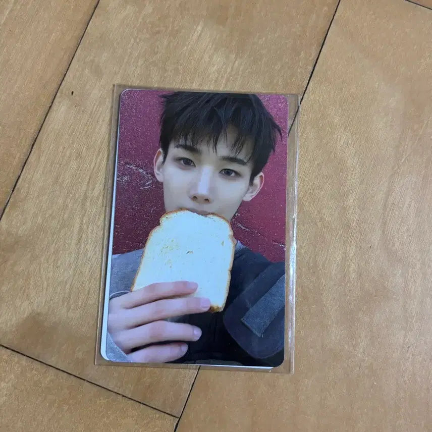 [BUNJANG] ENHYPEN Jo POB Photocard / 앤팀 픽업앨범 식빵  죠 미공포
