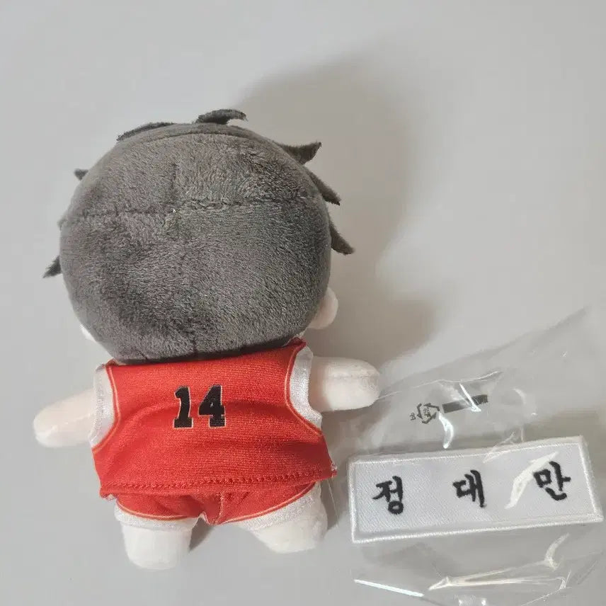 [BUNJANG] Slam Dunk Jung Dae Man Doll / [슬램덩크] 정대만 누이