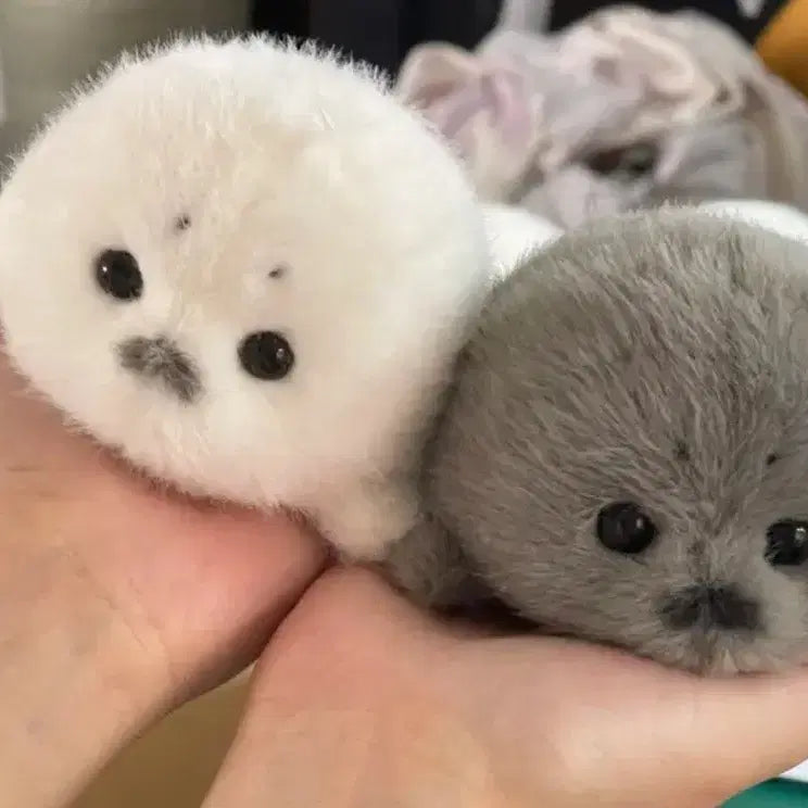 [SOLD OUT] RIRI님 수제 12cm 하프물범 인형 마스코트