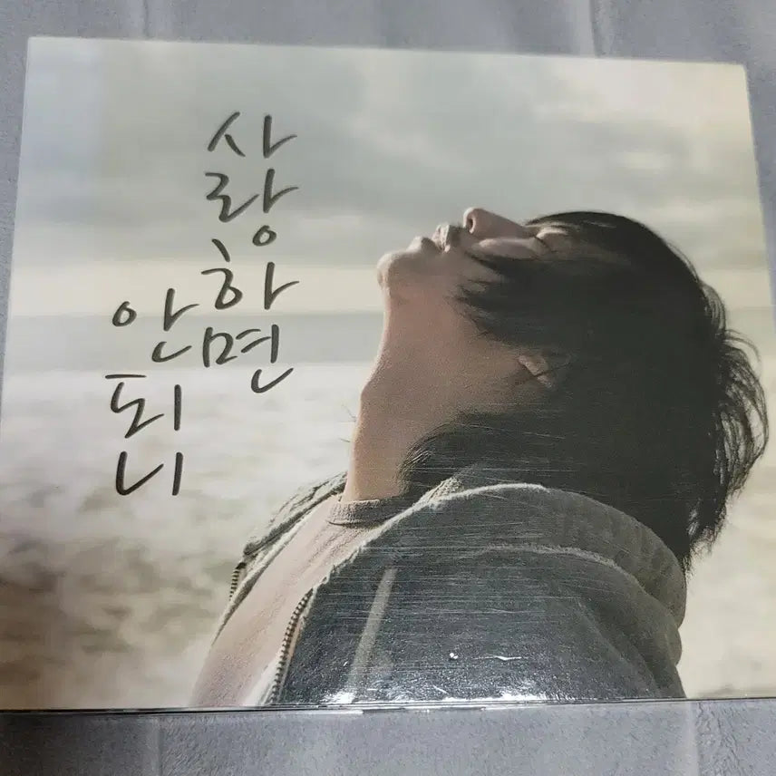 [BUNJANG] Kim Nam Gil Into the Wild CD / 김남길  Into the Wild,사랑하면 안되니 CD