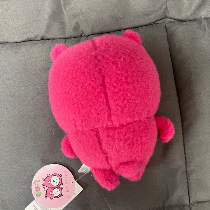 [BUNJANG] 나가노 뽀송뽀송 러브 농담곰 (담곰이) 중형인형 / 나가노 뽀송뽀송 러브 농담곰 (담곰이) 중형인형