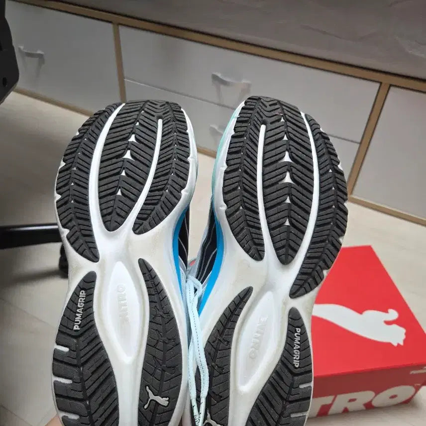 [BUNJANG] Velocity Nitro 4 Running Shoes / 벨로시티 나이트로4 260 판매합니다
