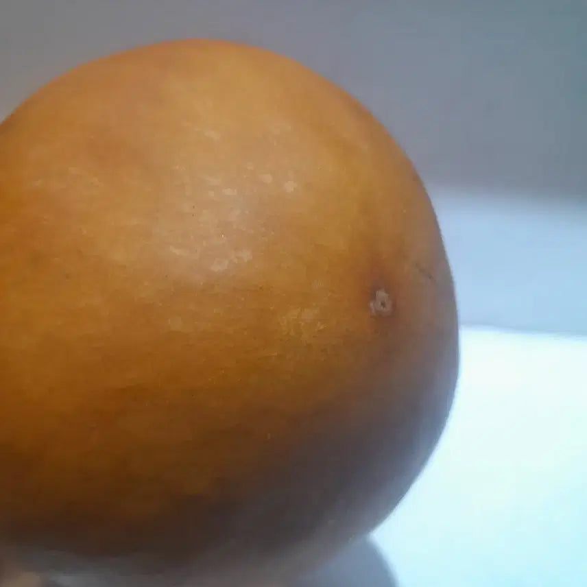 [BUNJANG] Gourd Ornament / 표주박 장식 소품