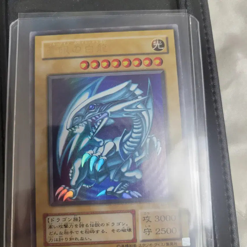 [BUNJANG] Yu-Gi-Oh! Blue-Eyes White Dragon Card Bundle / 일판 푸른눈의 백룡 일괄 팔아요.