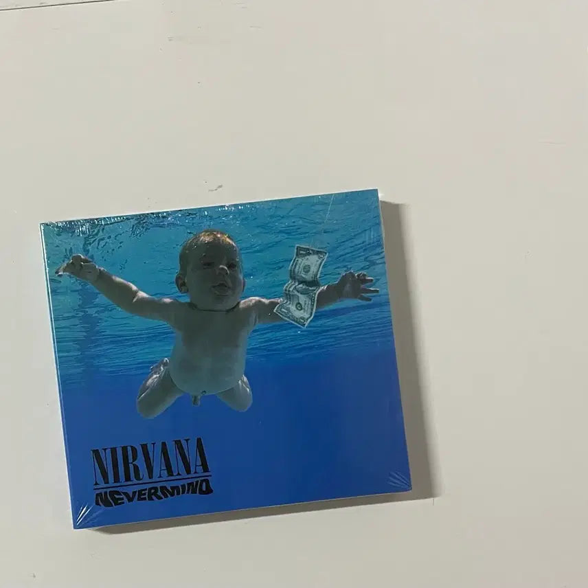 [BUNJANG] Nirvana CD / Nine Inch Nails LP / NIRVANA(너바나) &amp; 나인인치네일스 LP/CD