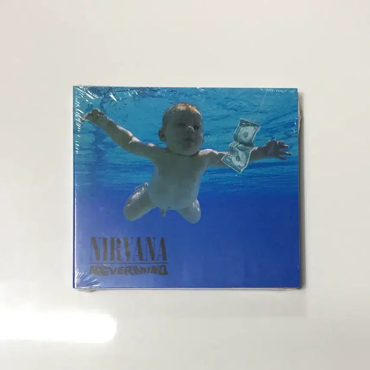 [BUNJANG] Nirvana CD / Nine Inch Nails LP / NIRVANA(너바나) &amp; 나인인치네일스 LP/CD